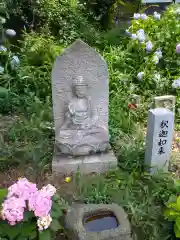 般若寺 ❁﻿コスモス寺❁(奈良県)