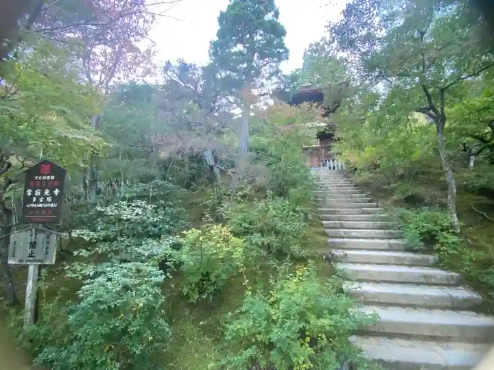 常寂光寺の{uncategorized: "未分類", other: "その他", undefined: "問題あり", building: "その他建物", grave: "お墓", sacred_gate: "鳥居", guardian: "狛犬", statue: "像", buddha: "仏像", history: "歴史", nature: "自然", garden: "庭園", animal: "動物", pagoda: "塔", temizu: "手水舎", mountain_gate: "山門・神門", sanctuary: "本殿・本堂", subordinate: "末社・摂社", art: "芸術", scenery: "景色", jizo: "地蔵", ema: "絵馬", goshuin: "御朱印", omikuji: "おみくじ", items: "授与品その他", amulet: "お守り", goshuincho: "御朱印帳", eats: "食事", festival: "お祭り", votive_dance: "神楽", shichigosan: "七五三参", wedding: "結婚式", experience: "体験その他", initially: "初詣", around: "周辺", anti_infection: "感染症対策"}