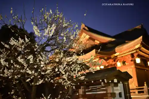 湯島天満宮(東京都)