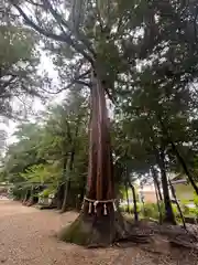 猿投神社(愛知県)