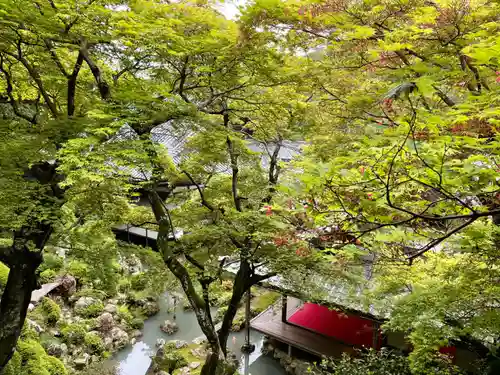 柳谷観音　楊谷寺(京都府)