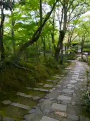 常寂光寺の庭園