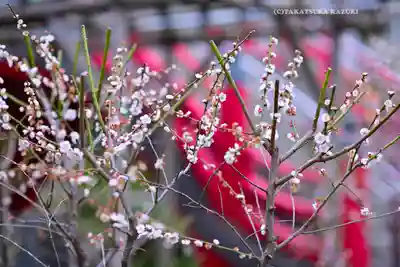亀戸天神社(東京都)