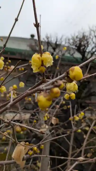 了峰禪寺(了峰寺)(京都府)