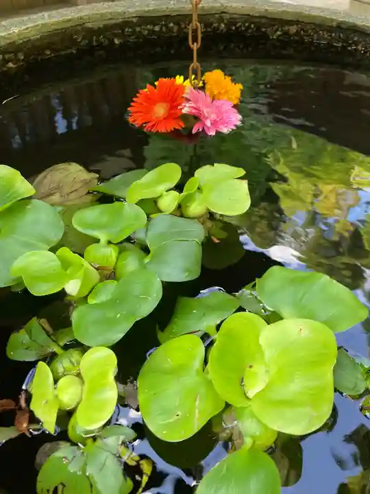 田間神社(千葉県)