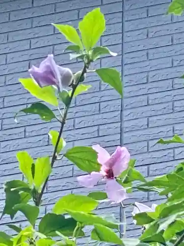 梨木神社の自然