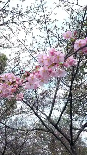 東寺（教王護国寺）(京都府)
