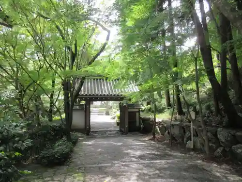 西教寺の山門