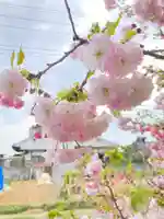 内外大神宮(茨城県)