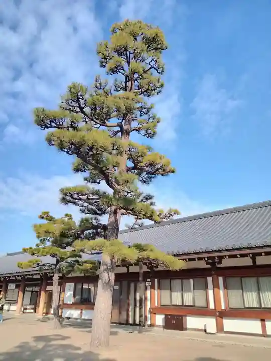 蓮華王院(三十三間堂)(京都府)