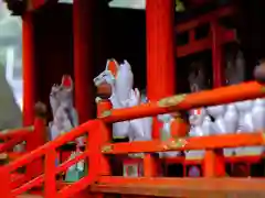 太皷谷稲成神社の動物