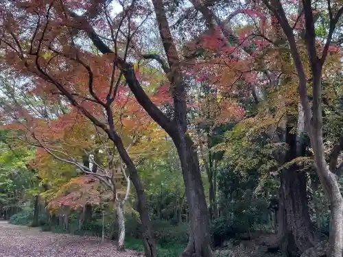 河合神社（鴨川合坐小社宅神社）(京都府)