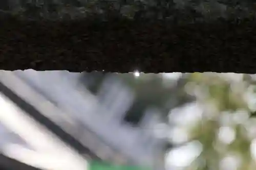 日枝神社の自然