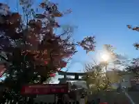 車折神社の{uncategorized: "未分類", other: "その他", undefined: "問題あり", building: "その他建物", grave: "お墓", sacred_gate: "鳥居", guardian: "狛犬", statue: "像", buddha: "仏像", history: "歴史", nature: "自然", garden: "庭園", animal: "動物", pagoda: "塔", temizu: "手水舎", mountain_gate: "山門・神門", sanctuary: "本殿・本堂", subordinate: "末社・摂社", art: "芸術", scenery: "景色", jizo: "地蔵", ema: "絵馬", goshuin: "御朱印", omikuji: "おみくじ", items: "授与品その他", amulet: "お守り", goshuincho: "御朱印帳", eats: "食事", festival: "お祭り", votive_dance: "神楽", shichigosan: "七五三参", wedding: "結婚式", experience: "体験その他", initially: "初詣", around: "周辺", anti_infection: "感染症対策"}