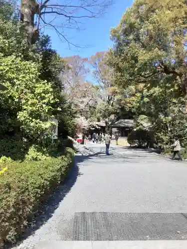 阿佐ヶ谷神明宮(東京都)