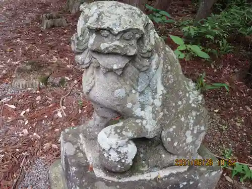 亀賀森神社の狛犬