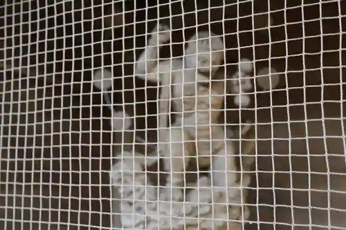 大祥寺(岩手県)