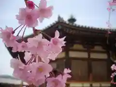 法隆寺の自然