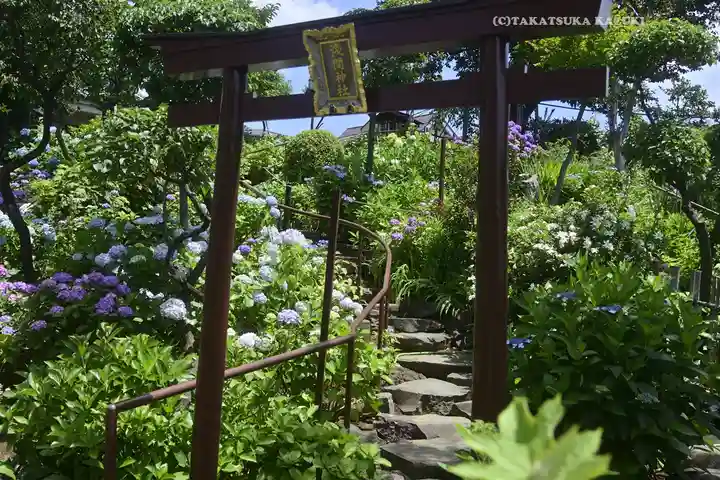 白山神社(東京都)