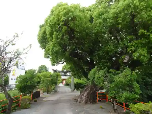 青木天満宮の山門