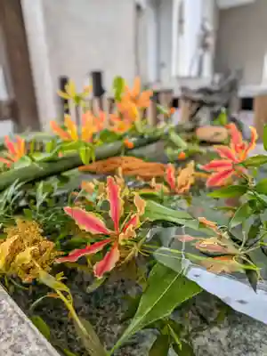 高円寺氷川神社(東京都)
