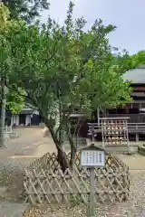 上地八幡宮(愛知県)