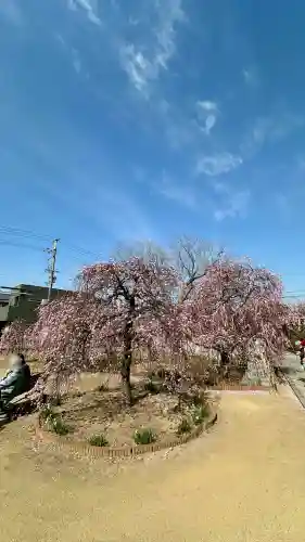 屯倉神社の{uncategorized: "未分類", other: "その他", undefined: "問題あり", building: "その他建物", grave: "お墓", sacred_gate: "鳥居", guardian: "狛犬", statue: "像", buddha: "仏像", history: "歴史", nature: "自然", garden: "庭園", animal: "動物", pagoda: "塔", temizu: "手水舎", mountain_gate: "山門・神門", sanctuary: "本殿・本堂", subordinate: "末社・摂社", art: "芸術", scenery: "景色", jizo: "地蔵", ema: "絵馬", goshuin: "御朱印", omikuji: "おみくじ", items: "授与品その他", amulet: "お守り", goshuincho: "御朱印帳", eats: "食事", festival: "お祭り", votive_dance: "神楽", shichigosan: "七五三参", wedding: "結婚式", experience: "体験その他", initially: "初詣", around: "周辺", anti_infection: "感染症対策"}