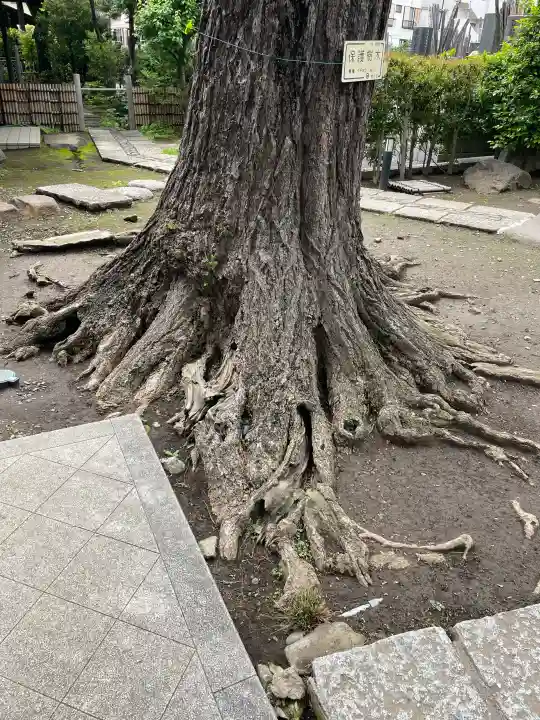 寶蔵院の{uncategorized: "未分類", other: "その他", undefined: "問題あり", building: "その他建物", grave: "お墓", sacred_gate: "鳥居", guardian: "狛犬", statue: "像", buddha: "仏像", history: "歴史", nature: "自然", garden: "庭園", animal: "動物", pagoda: "塔", temizu: "手水舎", mountain_gate: "山門・神門", sanctuary: "本殿・本堂", subordinate: "末社・摂社", art: "芸術", scenery: "景色", jizo: "地蔵", ema: "絵馬", goshuin: "御朱印", omikuji: "おみくじ", items: "授与品その他", amulet: "お守り", goshuincho: "御朱印帳", eats: "食事", festival: "お祭り", votive_dance: "神楽", shichigosan: "七五三参", wedding: "結婚式", experience: "体験その他", initially: "初詣", around: "周辺", anti_infection: "感染症対策"}