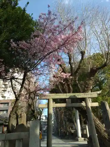 牛嶋神社の鳥居