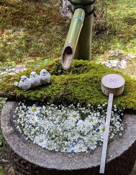 柳谷観音 楊谷寺(京都府)