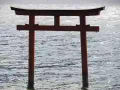 九頭龍神社本宮の鳥居