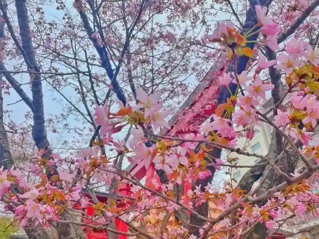彌彦神社 (伊夜日子神社)の自然