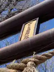 中の島神社の鳥居