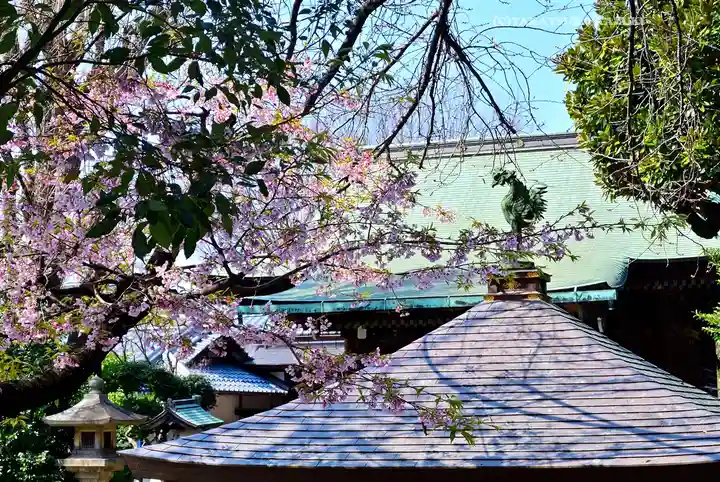 五條天神社の自然