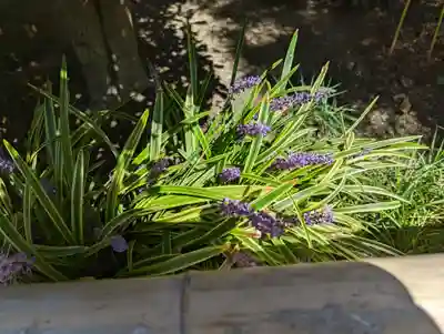 聖光寺(京都府)