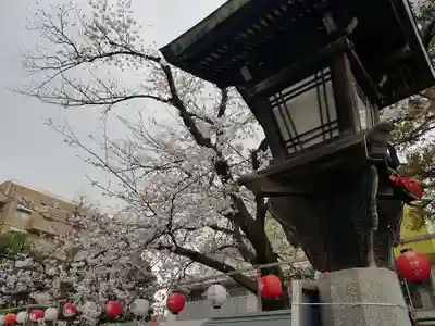 桜神宮のその他建物