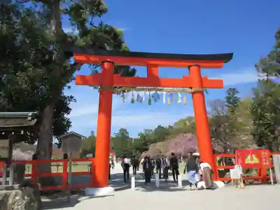 賀茂別雷神社(上賀茂神社)の鳥居
