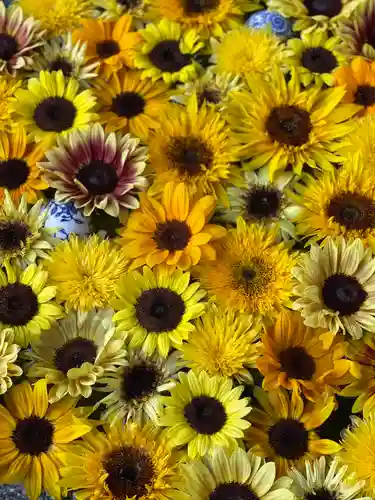 行田八幡神社の手水舎