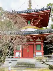 温泉山 安楽寺(四国霊場第六番札所)(徳島県)