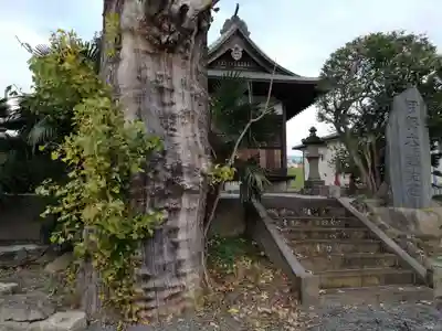 香取神社の自然