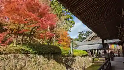 光明寺（粟生光明寺）(京都府)