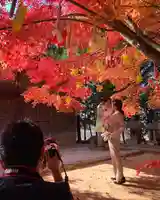 滑川神社 - 仕事と子どもの守り神(福島県)