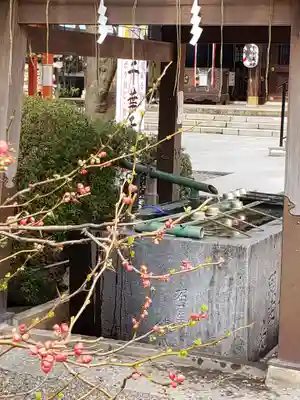 千葉神社の手水舎