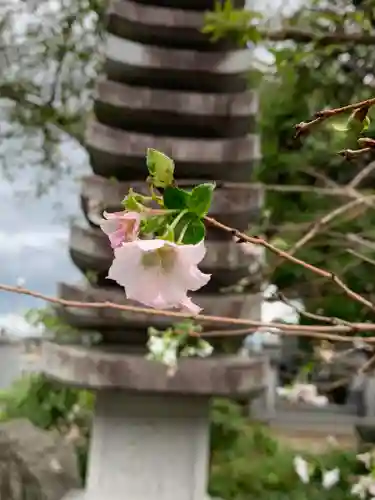 牛来寺(栃木県)
