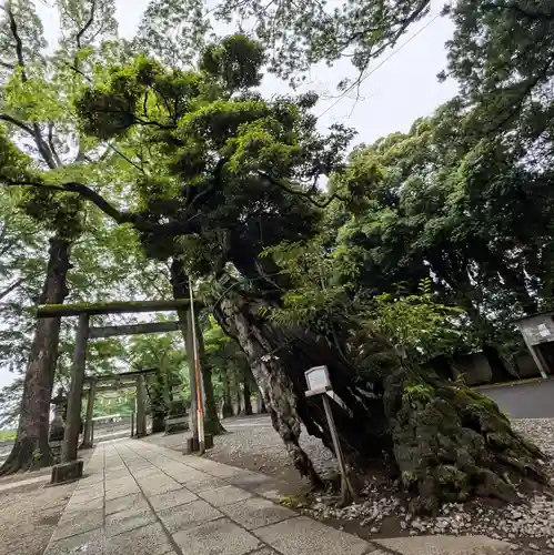 一言主神社(茨城県)