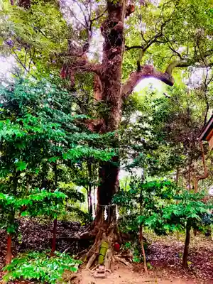 成田熊野神社(千葉県)