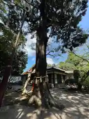 息栖神社(茨城県)