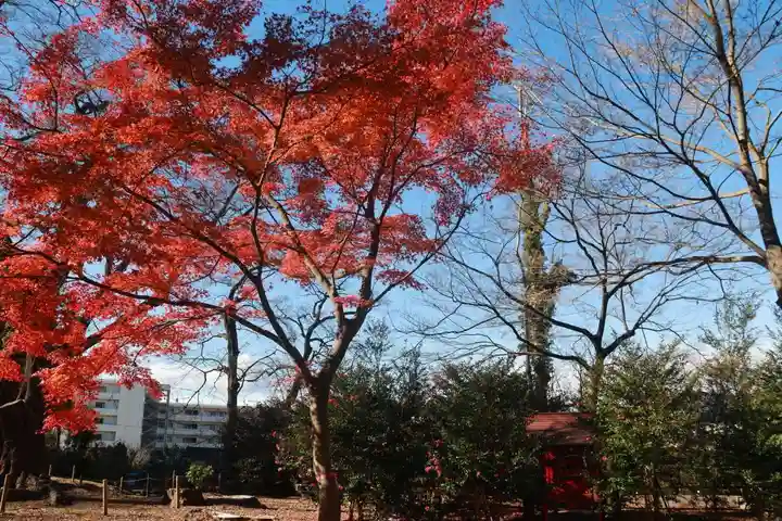 神炊館神社 ⁂奥州須賀川総鎮守⁂の末社・摂社