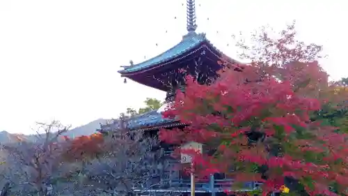 清凉寺の塔