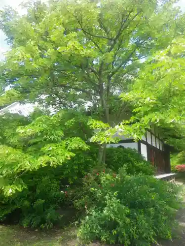 浄光明寺の自然